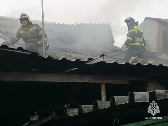 Из-за сильного ветра в Волгодонске произошёл пожар в частном доме на улице Пионерской. Ветер повалил дерево,..