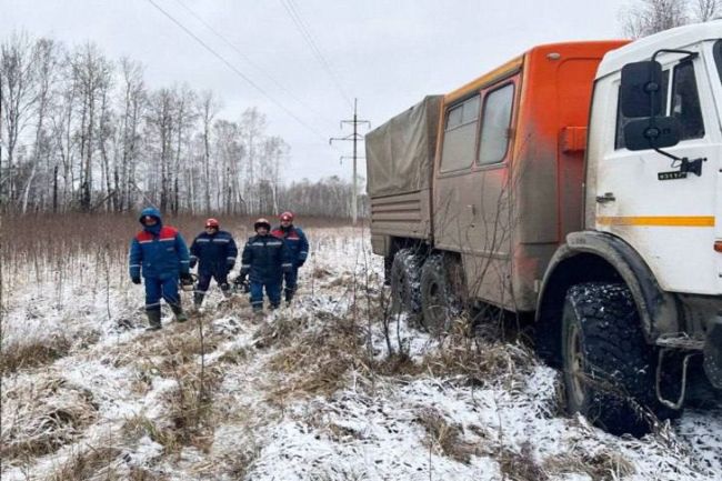 Линии электропередач в 11 районах Новосибирской области оборвал шторм  Нахулиганил ветер больше всего в..