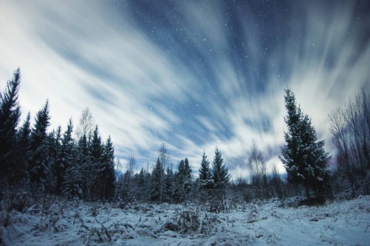 💙 Звездная ночь в нижегородских краях  Фото: Ян..