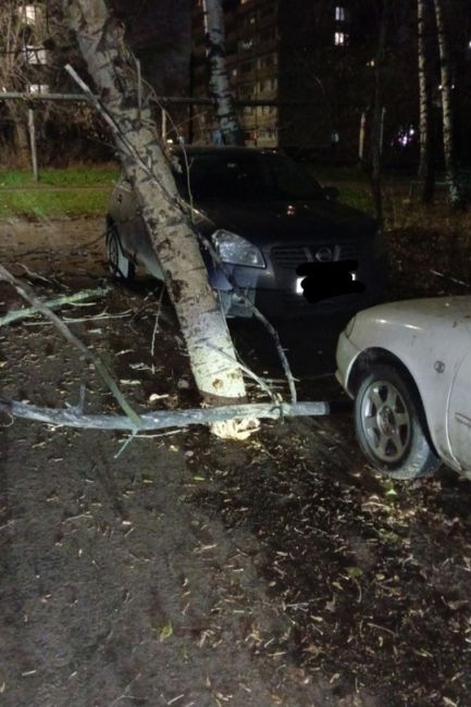 Дерево разломилось пополам из-за погодных условий,не задело не одну машину слава богу. По данному дереву на..