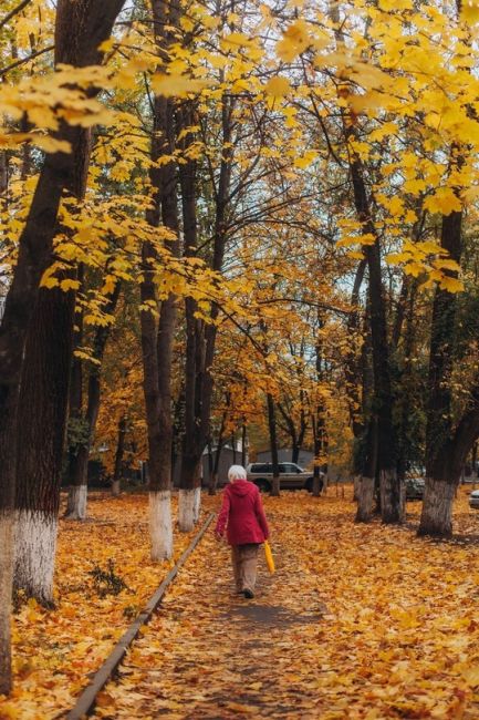 🏡 Ростовские дворики  Фото: Артём..