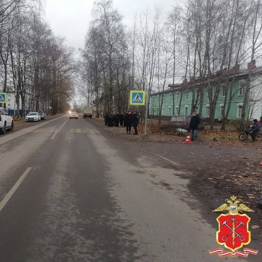 В поселке имени Морозова Всеволожского района Ленобласти водитель, сбил 10-летнего мальчика, после чего..