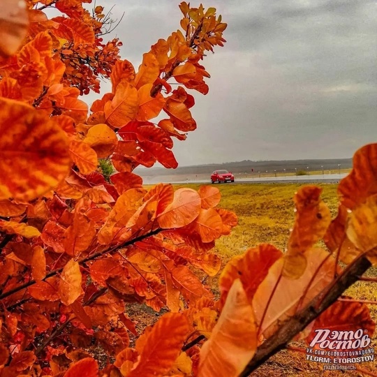 💚❤Место, где слились все цвета осени. Красносулинский..