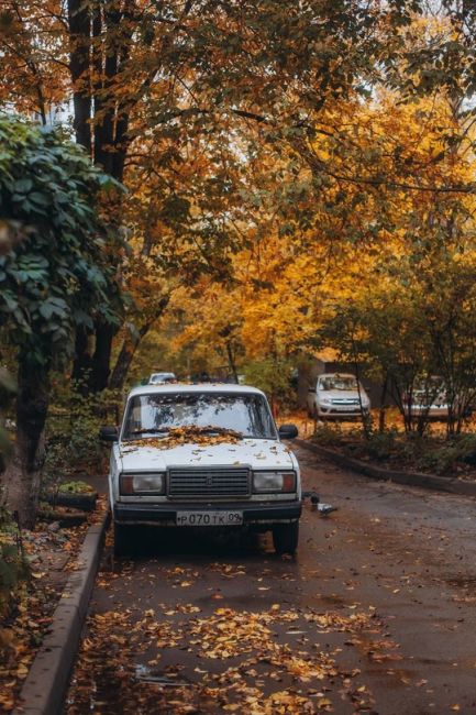 🏡 Ростовские дворики  Фото: Артём..