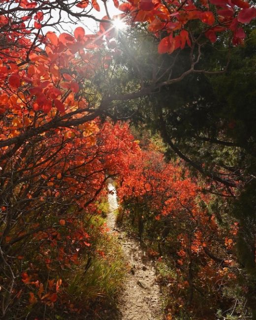 Прогулка по осеннему побережью от Супсеха в сторону Сукко🍁🍂🔥  Фото..