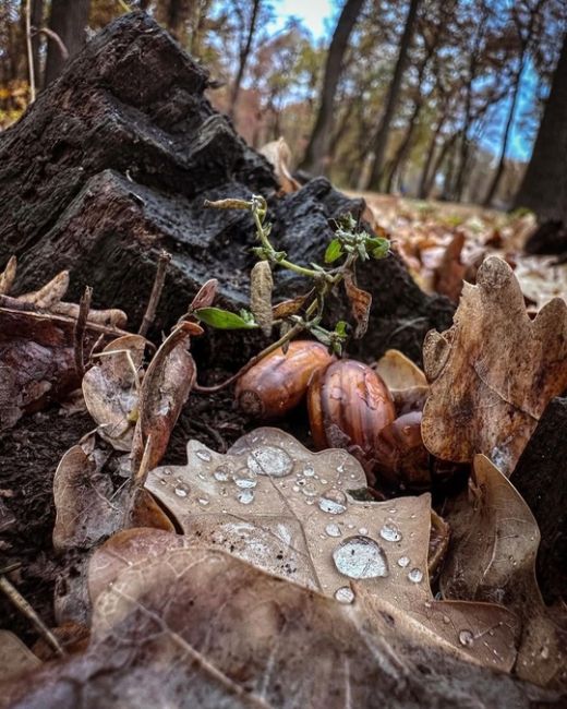 Осень - самое яркое и прекрасное время..