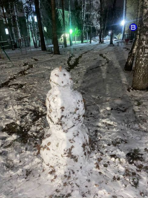 Пока кто-то ругается на плохо очищенные от снега дороги, креативные новосибирцы лепят снеговиков и делятся..