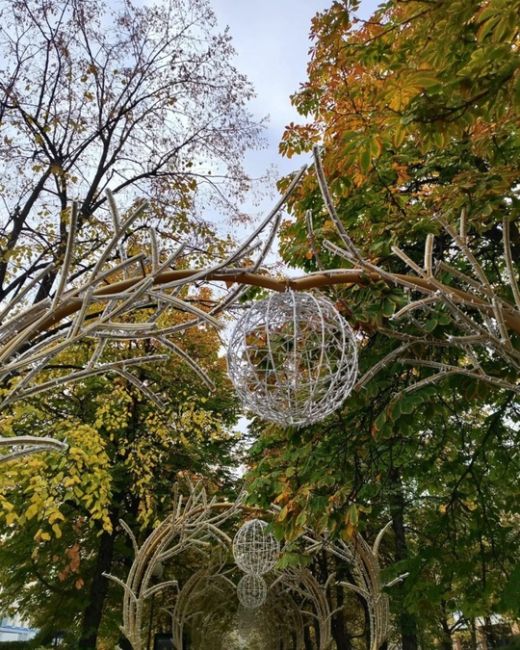 В гостях на Красной 🎄 Ну что сказать: Парк Галицкого поглощает город - и это хорошая новость 😇😂  Конечно же..