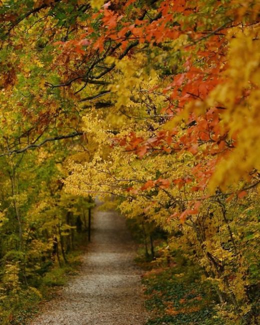 Прогулка по эко-тропе в Абрау-Дюрсо 🍂🍁😍  Фото..