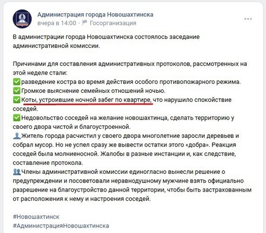 За ночные «тыгыдыки» его двух котов жителя Новошахтинска оштрафовали на 2 тысячи рублей  В Ростовской..