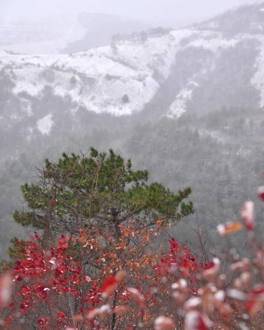 Осенне-зимние склоны Маркотха, когда зима пришла чуть раньше ❄🍁  Фото:..