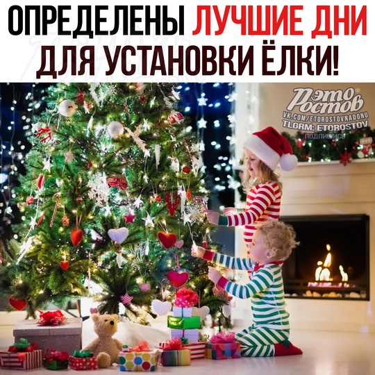 🎄 УСТАНАВЛИВАЕМ ЕЛКУ В ЭТИ ДНИ — нумерологи определили самые благоприятные даты для установки новогодней..