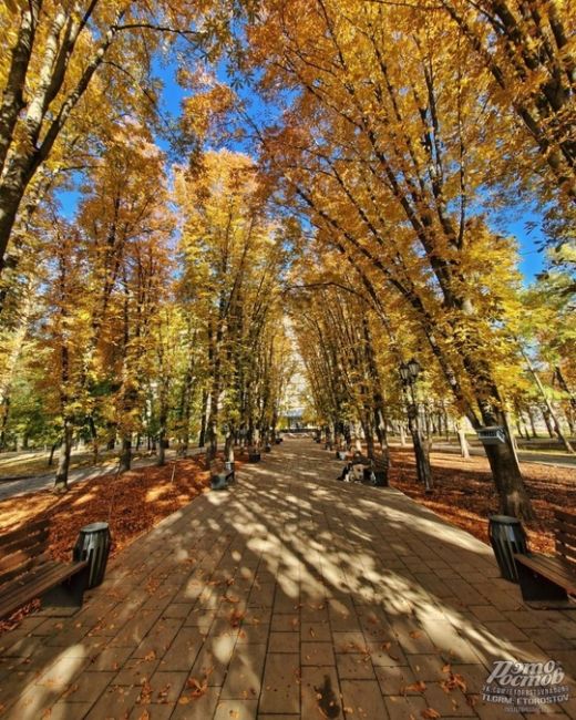 🍁🍂 Осень - последняя, самая восхитительная улыбка года  фото: Роман..