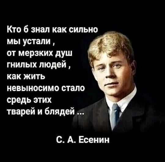 Василий Голубев провёл оперативное совещание. 
В зале собрались все главы муниципалитетов. Василий Голубев..