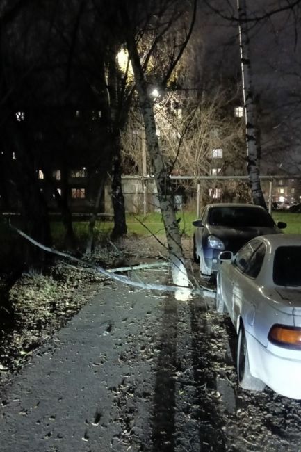 Дерево разломилось пополам из-за погодных условий,не задело не одну машину слава богу. По данному дереву на..