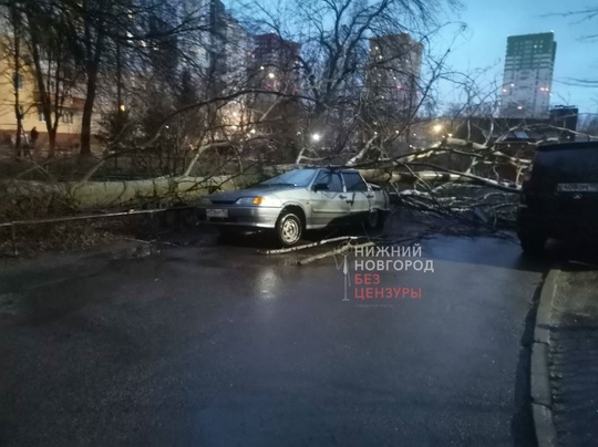 🗣Последствия ночного урагана - по всей области повалены деревья, заборы и ограждения, пострадали..