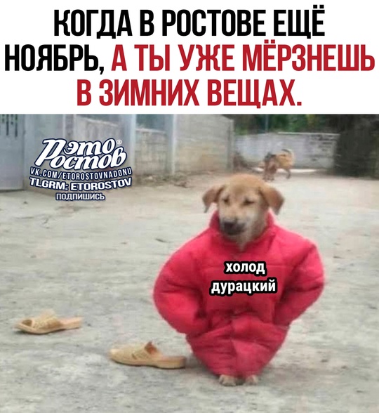 Много таких?..