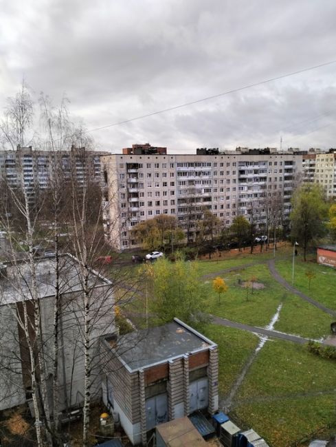 Ноябрь принес в Петербург первые снегопады: сегодня днем северную столицу замело, кое-где даже..