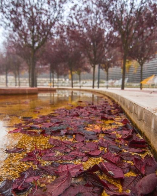 В Краснодаре наступило время туманов.  Фото:..