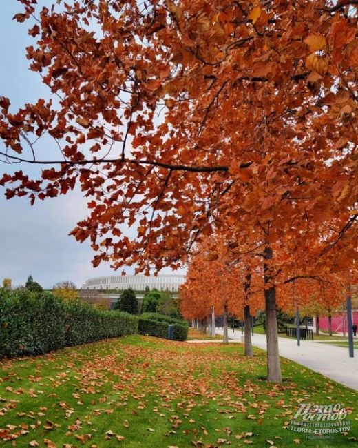 😍🍁Осень в чудесном парке Галицкого в соседнем..