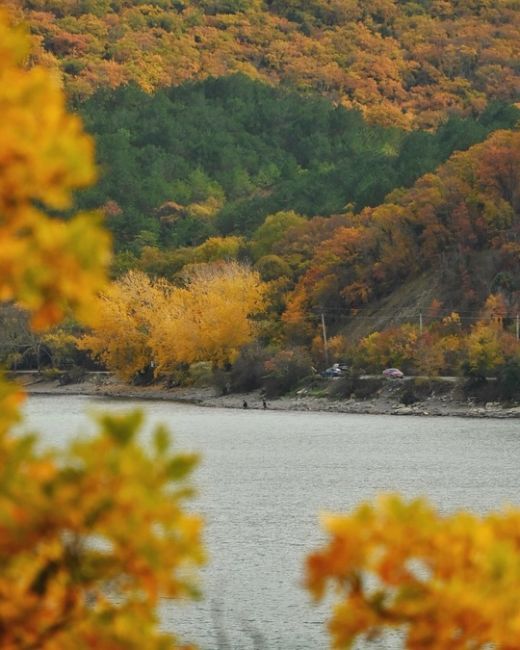 Прогулка по эко-тропе в Абрау-Дюрсо 🍂🍁😍  Фото..