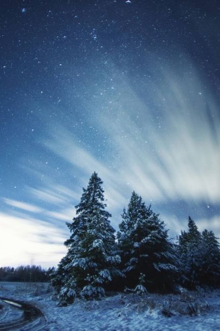 💙 Звездная ночь в нижегородских краях  Фото: Ян..