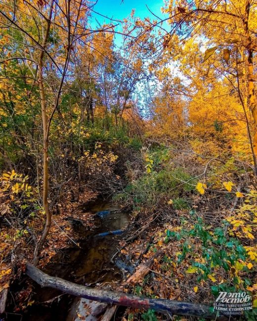 🍂🍁 Можайские пруды. Классное и тихое место для..