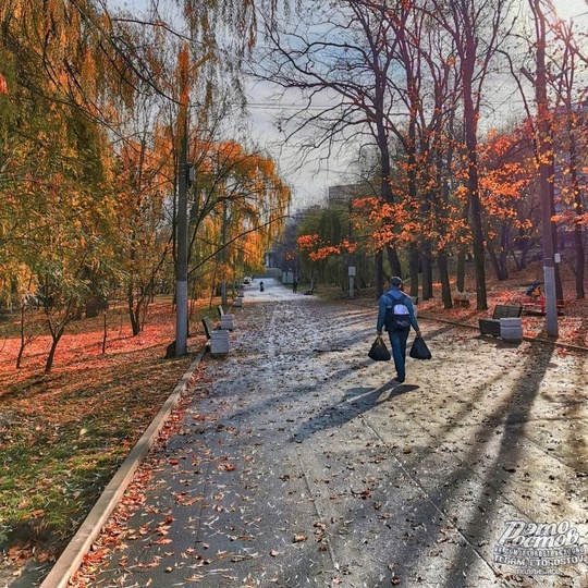 🍂🍁Красивый парк Дубки в Таганроге  Фото: Вадим..