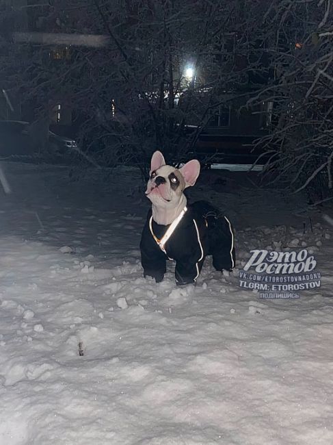 😍❄️ Зима в 50 км от Ростова. Счастливчики из Зернограда лепят..