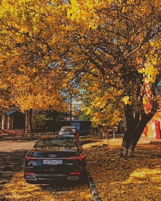 У зумеров спросили, из чего делают «Геркулес». Многие оказались в замешательстве 😎  Видео:..