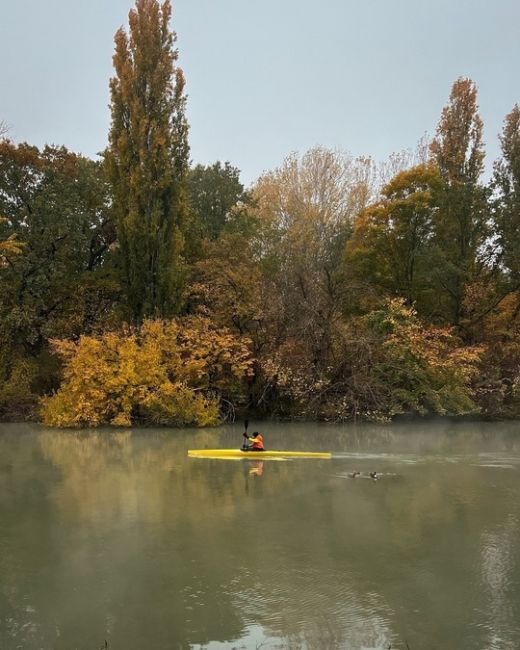 Гуляя по осеннему Краснодару 📸🍁  Фото..