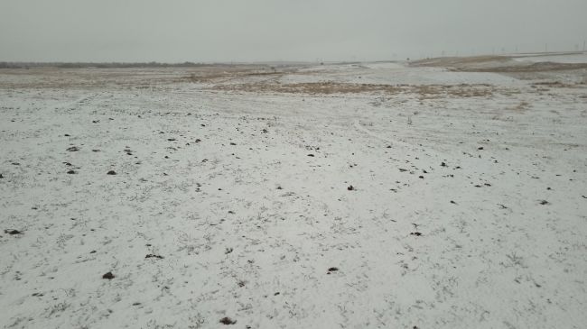 ❄️🌬 Зима пришла на север Ростовской..