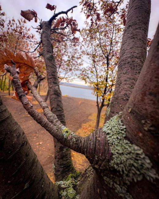 Осень - самое яркое и прекрасное время..