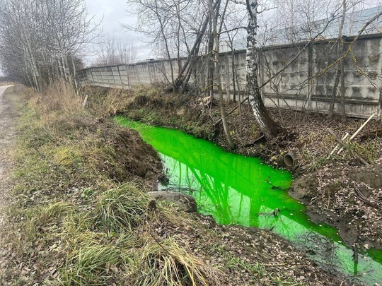 В канале под Раменским вода стала кислотно-зеленого цвета.  Причина таких перемен пока..