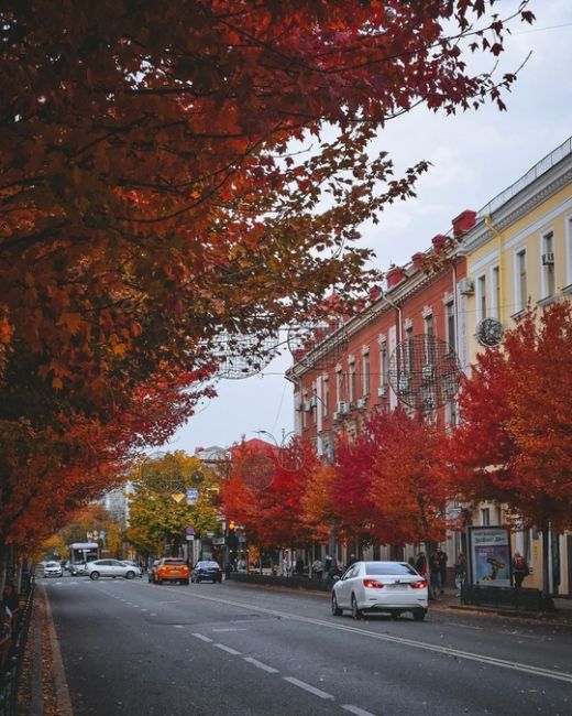 Осень в центре Краснодара 🍁🍂  Фото..