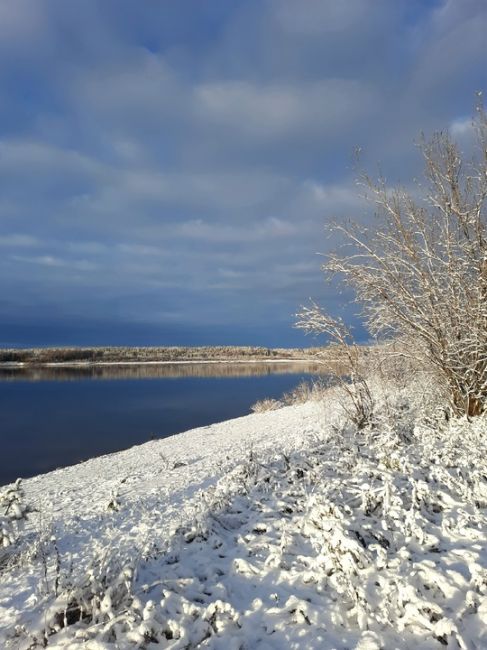 ❄ С первым снегом! Он прошёл в 170 км к северу от Ростова. Походу, не зря обещали сугробы до 12 см  ⚠ВНИМАНИЕ!..