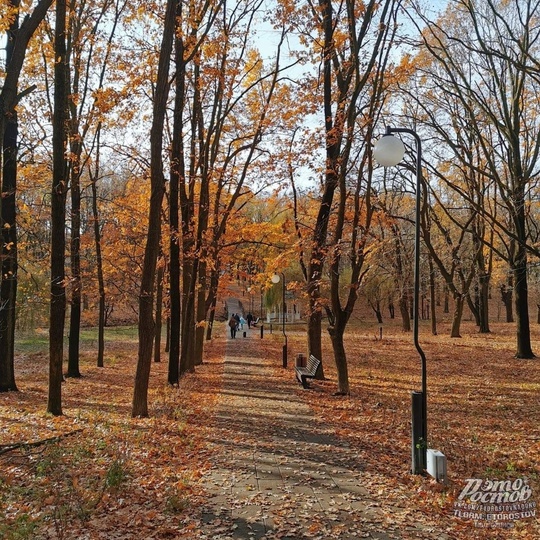 🍂🍁Красивый парк Дубки в Таганроге  Фото: Вадим..