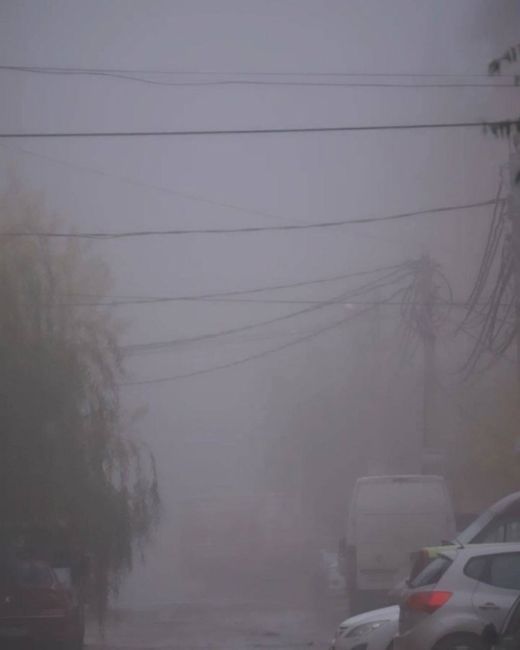 🌫️ Кто рано встает, тот… увидит туман. Вот такое воскресное утро в Краснодаре 
📸..