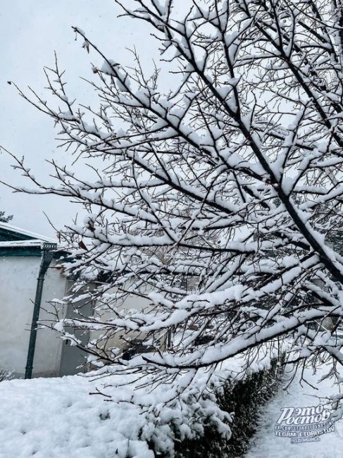 ❄️ Привет из станицы Вёшенской от наших подписчиков..