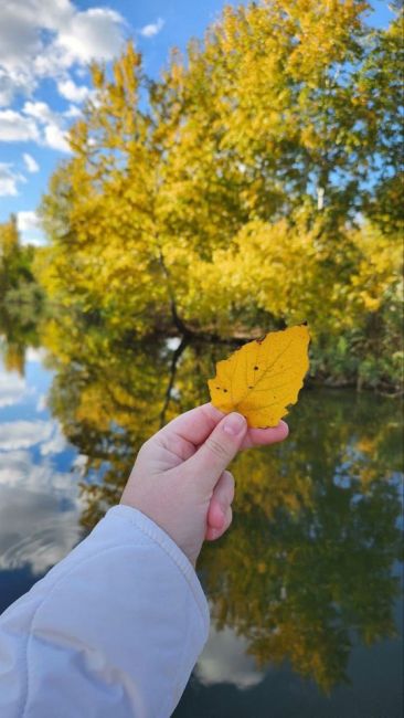 🍁 Прогулка вдоль «Первой..