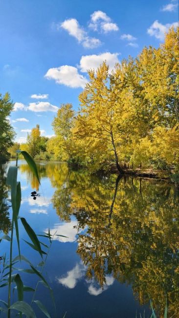 🍁 Прогулка вдоль «Первой..