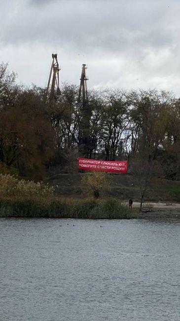 🌳 В Левобережной роще Ростова появился плакат с призывом к губернатору Слюсарю спасти рощу. По слухам,..