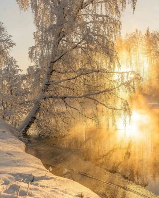 Сказочная осень в Самаре..