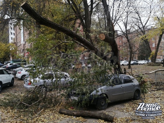 🌳«Уже неделю после урагана вот так стоит машина на Нагибина, 17/2. Хозяин вообще в курсе? И почему не убрали..