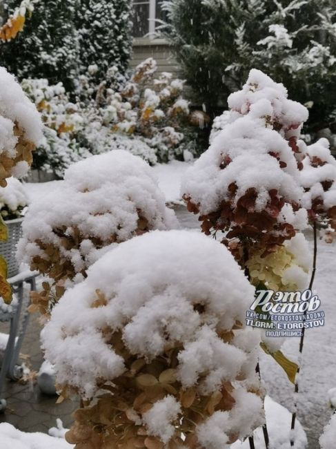 ❄️🌬 Зима пришла на север Ростовской..