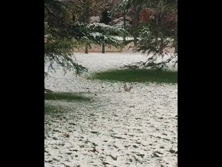 Чуть-чуть снежного⠀
парка вам в ленту,⠀
друзья..