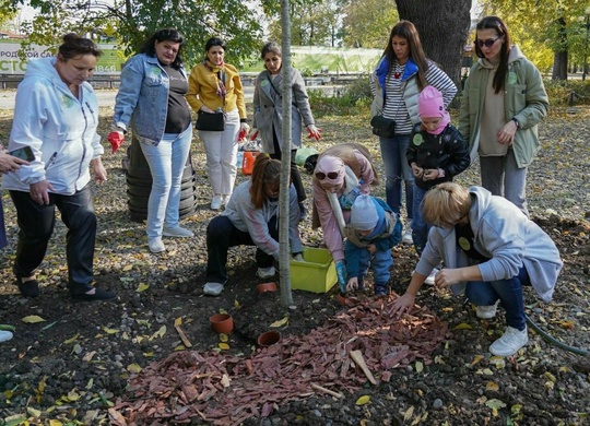 Уже около 3 000 деревьев и кустарников высадили в Краснодаре с начала года  Компенсационное озеленение..