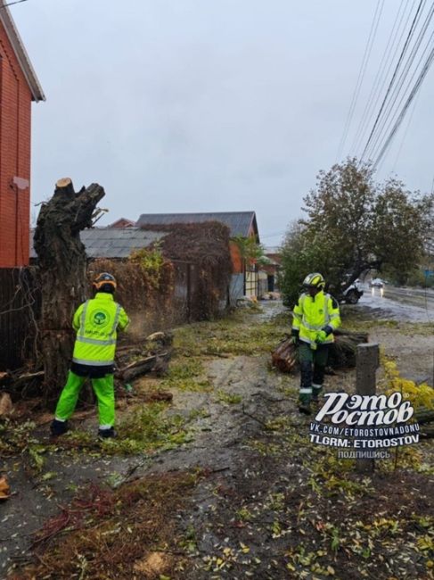 ⚠️🌳 Тем временем ветер с порывами до 30 м/с повалил сотни деревьев Таганроге, Батайске и Азове. Тысячи людей..