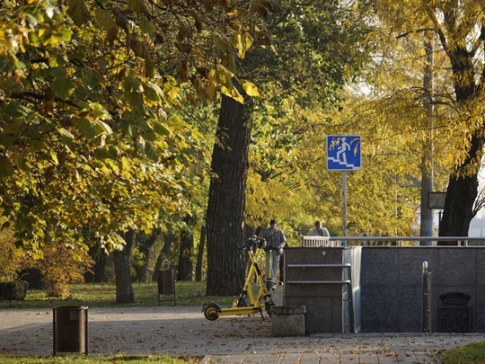 Ноябрь в Чистяковской роще.  Фото..