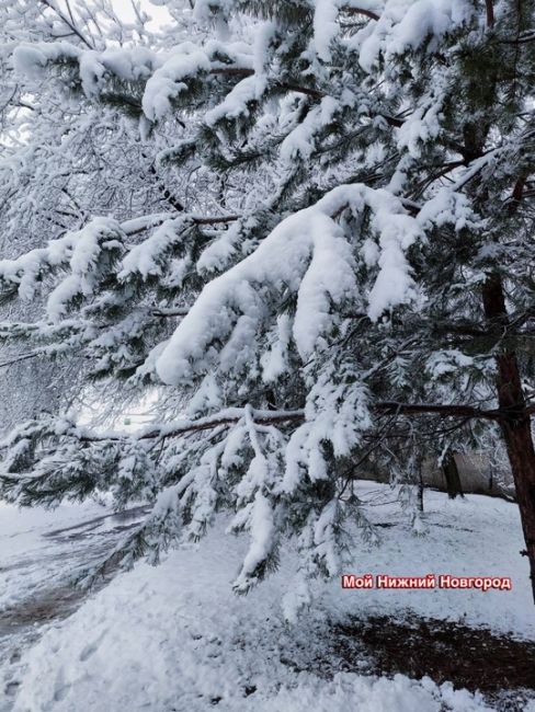 💙Снежное утро в Гагинском районе. Ждем у..